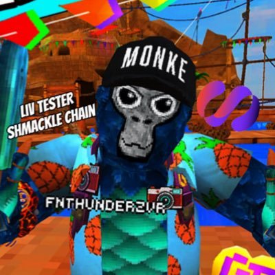 hello I’m FNthunderzVR 🧀👋 | 📱CC for shmackle, gtag and fortnite📱| LIV tester | I’m following my dreams to do amazing things ✨❤️ manager for @realllamahunter
