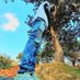 Blessings Ng'ambi (@ambiblessi63509) Twitter profile photo Blessings Ng'ambi (@ambiblessi63509) Twitter profile photo