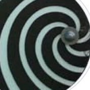 majinbuubuubuu's profile picture. 3D 初心者