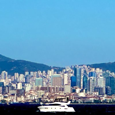 Poyraz1264877's profile picture. 