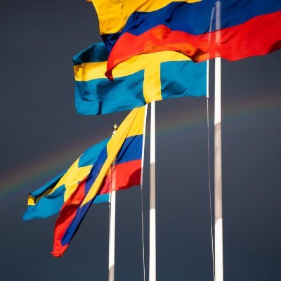 Embajadora designada de Suecia en Colombia @SwedeninCOL 🇨🇴🇸🇪 📸: Bosques de Småland, sur de Suecia | Patrik Svedberg/imagebank.sweden.se