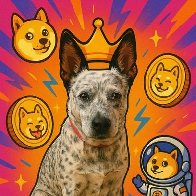 Snackpdog's profile picture. Not financial advice. Just canine prophecy.