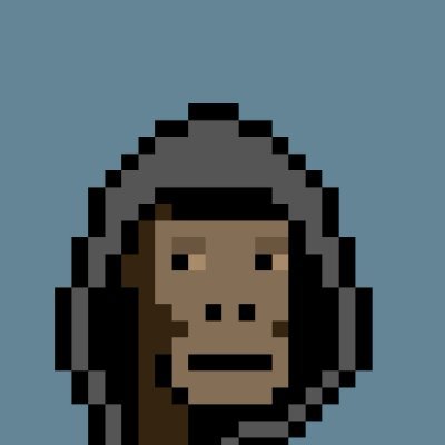skimotooo's profile picture. knowledge is freedom. tech and international trading.