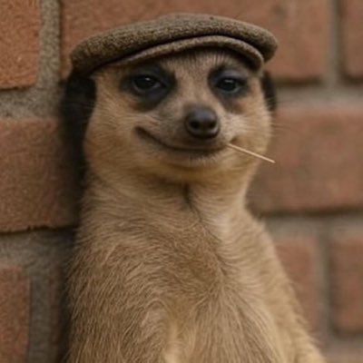 messforme's profile picture. land doesn’t vote, people do 🙏❤️