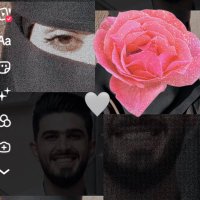 هـاجر ✨ (@bintabdullah44) 's Twitter Profile
