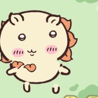 しとら@7→16 (@shitra_r) 's Twitter Profile