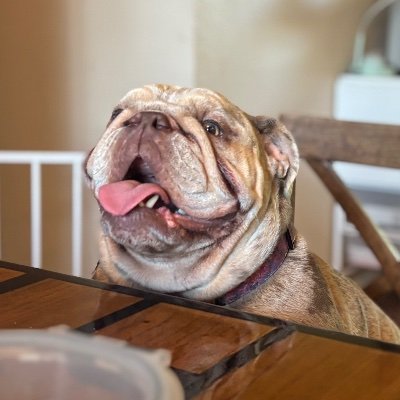 MageeButtcheeks's profile picture. 