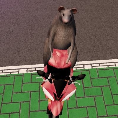 Hey, I’m Mateyy! Born in 2007. I love video games—especially roleplay and action. I usually play Jailbreak and sometimes hop into fun random games with friends.