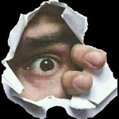 Curioso469186's profile picture. 