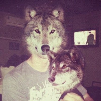 silentifa's profile picture. lesbian