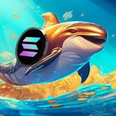 Welcome To $SOL WHALE Support Team. Having Any Types Of Issues? Kindly Contact Us Via Dm 📥