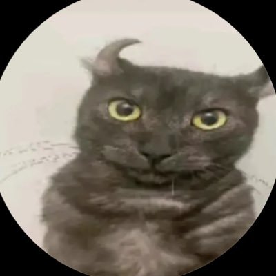 rubenfnb's profile picture. player for ??? | b.e: @/?