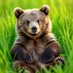 California Bear (@calibears101) Twitter profile photo California Bear (@calibears101) Twitter profile photo