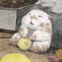 이디 (@b612_ed) 's Twitter Profile