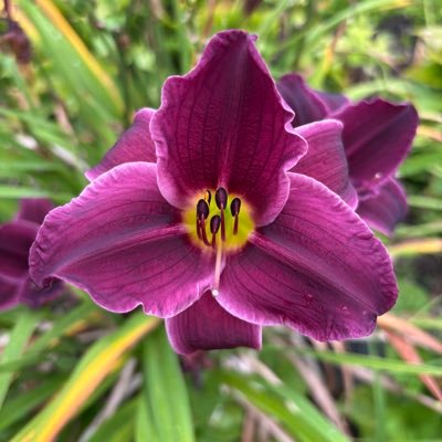 daviesd1965's profile picture. 