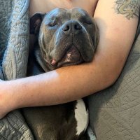 Slut Lover (@lover_slut62339) Twitter profile photo