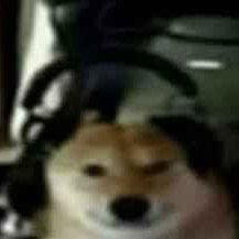 Carson21012's profile picture. #FreeSchlep           discord: carson21012