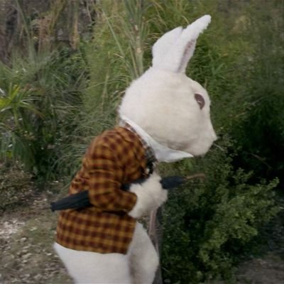 maisumavoltinha's profile picture. Fodei-vos