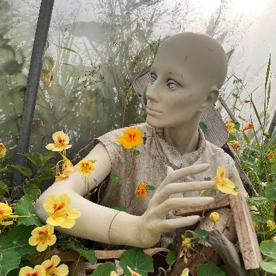 eyedaunt's profile picture. Just here to learn. 🧚🏼‍♀️