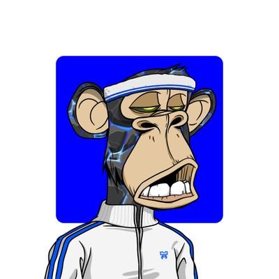 voxmika's profile picture. Pengz Pengz 🐧@pengztracted @hue_nfts