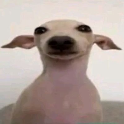 victornemooo's profile picture. 