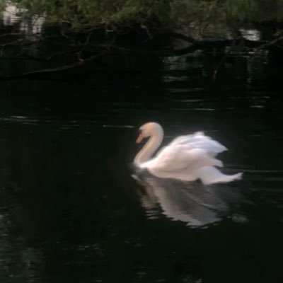 Itsmeannada's profile picture. Designer