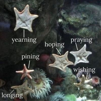 gelphieology's profile picture. nostalgia & melancholy central