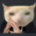 Yoh Tower (@tower_yoh) Twitter profile photo Yoh Tower (@tower_yoh) Twitter profile photo