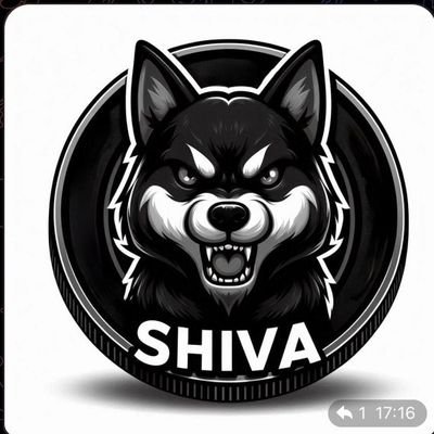 If you need Financial Freedom, buy Shiva Inu Meme Coin.