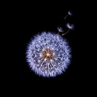 AnmolBisht23's profile picture. LEARNING :)