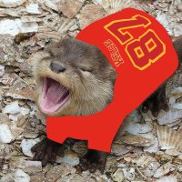 tayvisotter (@tayvisotter) 's Twitter Profile