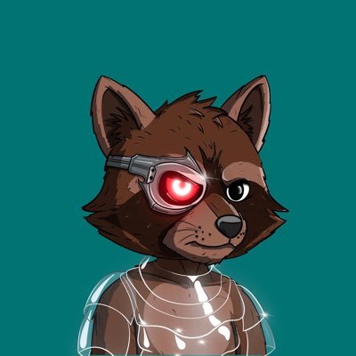 RaccoonCollective Profile