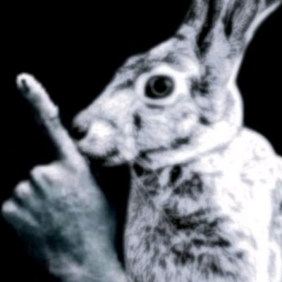 sailingwolfs's profile picture. Up for archive purposes