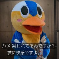 ハメ之助(グローリアス・ヘイロー・メグ) (@rewrite11000) 's Twitter Profile