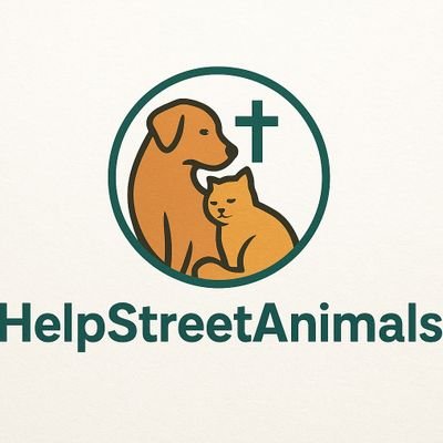 Helping homeless animals 🐾
Donate USDT here:
0xa8Bce478FD8b6C05aAbd811d760E336Ad6BF4bA5
100% of donations go to food, shelter & medical care ❤️
#SaveWithLove