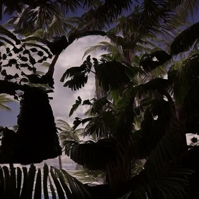 ywsfjma67948900's profile picture. من كان سيد نفسه كان سيد ما حولها