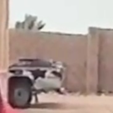 Transitive65971's profile picture. 