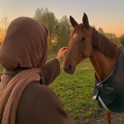 aqssafaheem's profile picture. I write