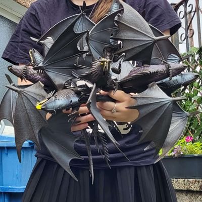 SkrillsHoard's profile picture. An account to document my HTTYD Collection PFP: / Questions or looking to obtain an item? Dm me! and I'll do my best to help out!