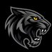 BLACK TIGER (@blacktiger1612) Twitter profile photo BLACK TIGER (@blacktiger1612) Twitter profile photo