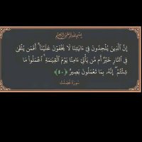 Wael Said (@s83264wael) 's Twitter Profile
