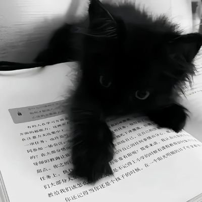 Pr0xyG33k's profile picture. Ethical Hacking | InfoSec | CTF Player