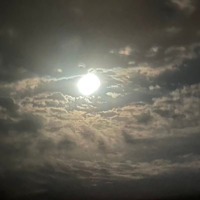 ttgo999's profile picture. 