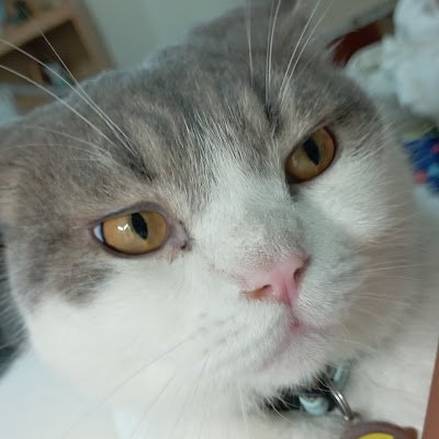 AaAaAaLKKA's profile picture. 