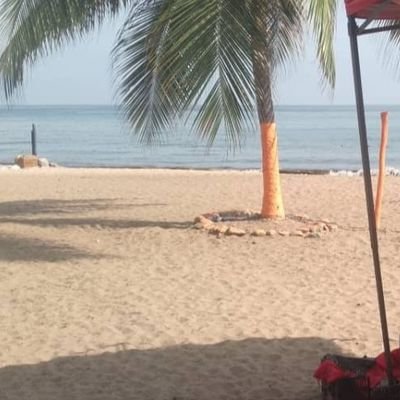 ReyesJuego64508's profile picture. 