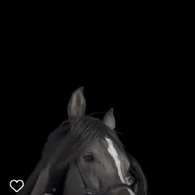 🇯🇴♥️