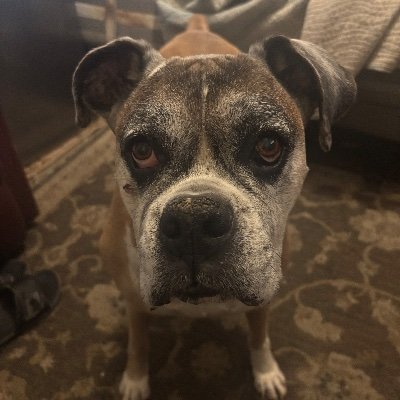 JVanVleet84's profile picture. A problem well understood is half solved