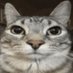 GherkinKnight (@gherkin_knight) Twitter profile photo GherkinKnight (@gherkin_knight) Twitter profile photo