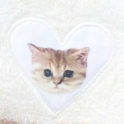 ∧,,,∧ ♡ がりやで中心に超絶楽しく8号車してます⭐️