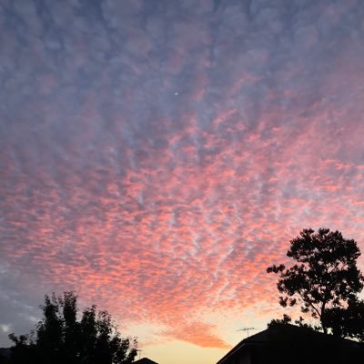 Nqzerti's profile picture. 